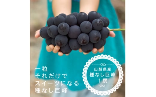 ＜2025年先行受付＞巨峰ぶどう(種なし) 1房 500グラム以上 産地直送 山梨県山梨市牧丘産【1535989】