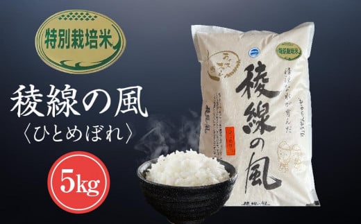 特別栽培米　稜線の風（ひとめぼれ） 5kg　【2025年9月下旬頃～順次発送予定】｜米  国産米 長野県産 人気 おすすめ お米 白米 減農薬 新米 ごはん 和食 健康 送料無料 長野県 大町市 ふるさと納税