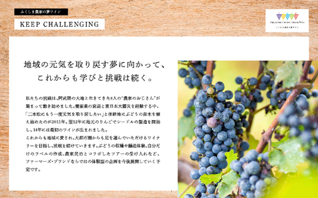 ワイン シードルセット（ふじりんご／つがるりんご）【ふくしま農家の夢ワイン株式会社】