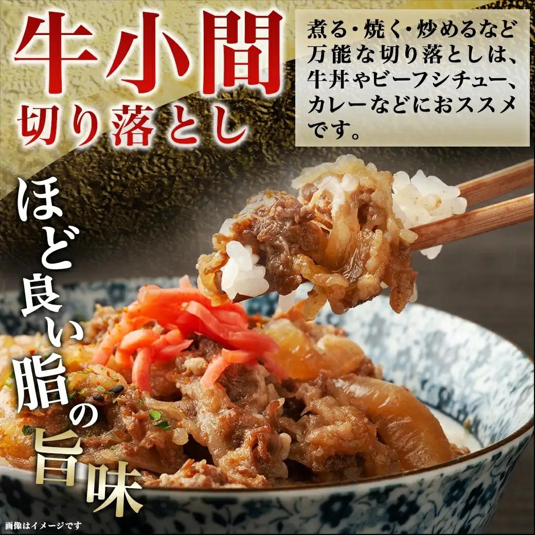 宮崎牛こま切り落とし1kg〔18-4207〕_(都城市) 牛小間切落とし肉 (500g×2パック/計1キロ) 旨味たっぷり 赤身と甘い脂がバランスよく混ざった牛切り落とし肉 炒め物/煮込み料理にも