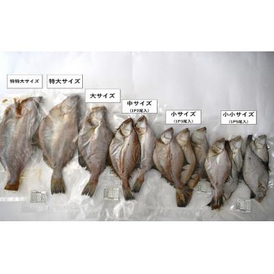 ふるさと納税 浦河町 漁協の地魚一夜干し 宗八カレイ 小小サイズ(20尾入)[02-1248] |  | 01