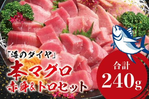 本マグロ（養殖）トロ＆赤身セット 240g 【1月発送】高級 クロマグロ  中トロ 中とろ まぐろ マグロ 鮪 刺身 赤身 柵 じゃばらまぐろ 本マグロ 本鮪【nks113B-1】