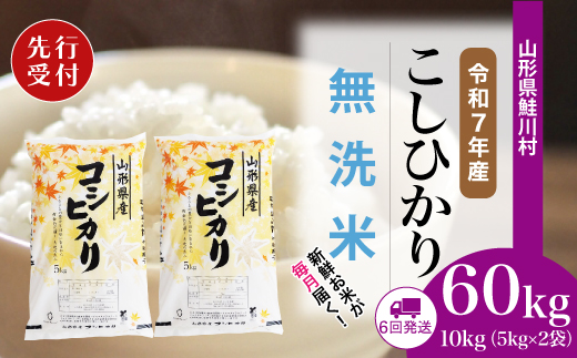 ＜令和7年産米先行受付＞ 鮭川村 コシヒカリ 【無洗米】 定期便 60kg （10kg×1ヶ月間隔で6回お届け）＜配送時期選べます＞