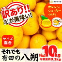 【ふるさと納税】八朔 訳あり それでも 有田の八朔 (はっさく) 箱込 10kg (内容量約 9.2kg) サイズミックス B品 和歌山県産 産地直送【おまけ付き】【みかんの会】 | みかん 八朔 和歌山 家庭用 和歌山県 有田川町 訳あり ふるさと納税 返礼品 故郷納税