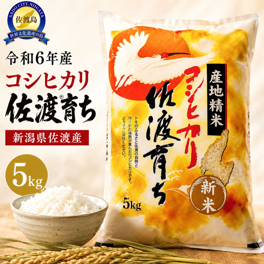 【ふるさと納税】米 コシヒカリ 5kg 1袋 令和7年産 佐渡産 一等米 白米 精米 佐渡育ち こしひかり 産地直送 ごはん おにぎり お弁当 贈り物 新潟県 佐渡市