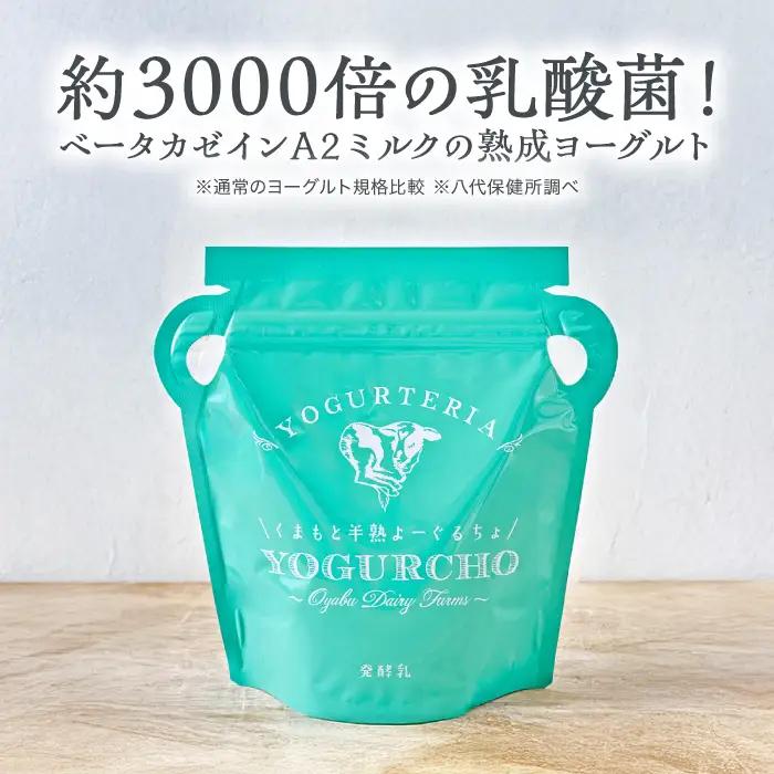 【ふるなびWEEK対象】くまもと半熟よーぐるちょ 350g×5個 オオヤブデイリーファーム ヨーグルト 濃厚ヨーグルト AYAE004