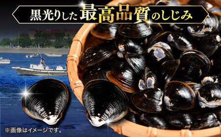 砂抜き不要！宍道湖産 活ヤマトシジミ 生しじみ 2kg 島根県松江市/株式会社漁師村[ALDN003]