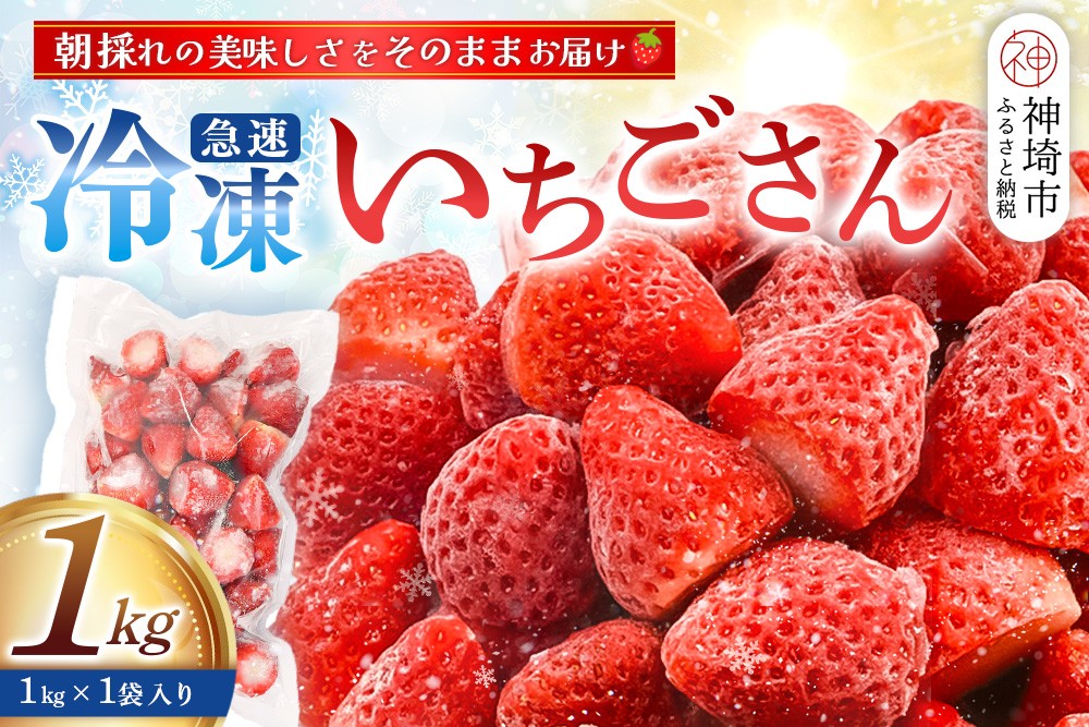 
                  冷凍いちご 1kg(いちごさん)【佐賀県産 ブランド 冷凍いちご フレッシュ 冷凍フルーツ スムージー デザート お菓子作り シャーベット 甘い みずみずしい 無添加】(H126101)
                