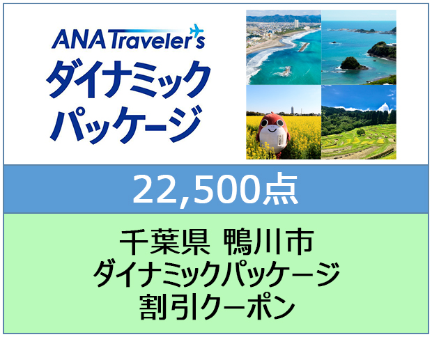 千葉県 鴨川市 ANAトラベラーズダイナミックパッケージ割引クーポン 22,500点分