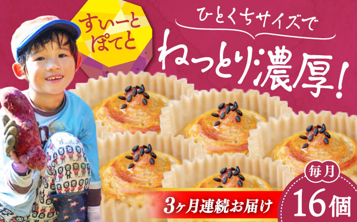 
            【全3回定期便】ねっとり濃厚！ひとくちサイズの スイートポテト 16個セット さつまいも 芋 スイーツ お菓子 ギフト 広島 江田島市/峰商事合同会社[XAD060]
          