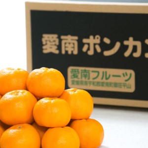 先行予約 訳あり 減農薬 ポンカン 3kg 愛南フルーツ サイズミックス サイズ混合 不揃い 柑橘 蜜柑 みかん 産地 産直