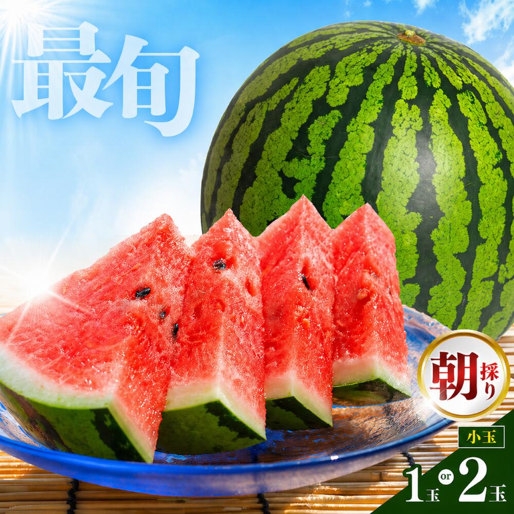 【ふるさと納税】順次発送中！｜ 小玉 1玉 2玉 すいか or 訳ありすいか スイカ 西瓜 果物 フルーツ 国産 熊本県 和水町 くまもと 産地直送 夏のフルーツ 農家直送 石原農園美味 朝摘み 野菜 一大産地 産地直 オススメ