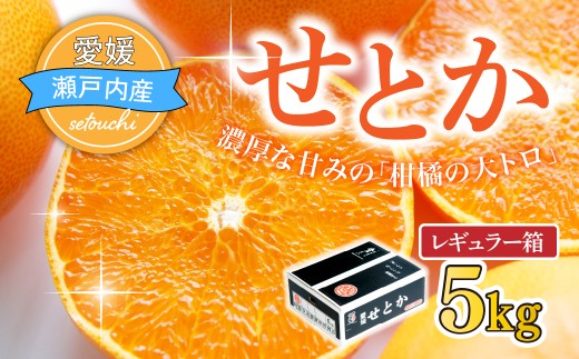 ＜先行受付＞せとか レギュラー箱 5kg 柑橘 みかん ミカン 蜜柑 せとか 5kg  愛媛県 JAおちいまばり