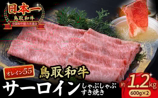 鳥取和牛 最高級品質【オレイン55】サーロイン しゃぶしゃぶすき焼き用 (1.2kg) 鳥取和牛 オレイン55 サーロイン しゃぶしゃぶ すき焼き 国産 牛肉 ブランド牛 和牛 黒毛和牛 KR1262