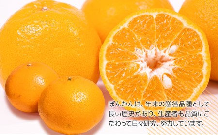 ぽんかん 10kg ミカン ポンカン オレンジ 蜜柑 果実 フルーツ 大分県産 九州産 津久見市 国産【tsu000603】
