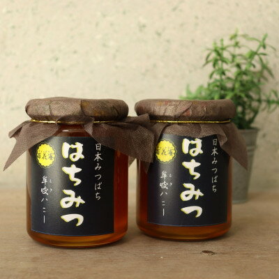 【ふるさと納税】牟岐ハニー　日本ミツバチの百花蜜　300g×2【1661817】