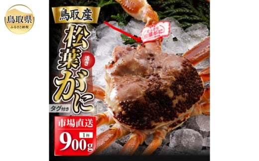 E25-019 【2025年11月発送】特撰 松葉がに（なま）【ブランドタグ付き】900g超の大きいサイズ 食べ応えあり 特大1杯