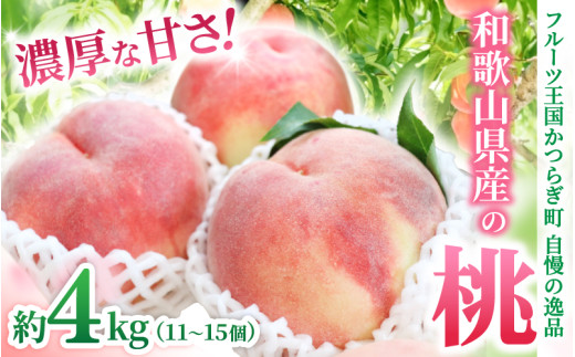 和歌山県産の桃 約4kg（11~15個） 【2026年7月上旬～8月上旬発送】 【Ei2】