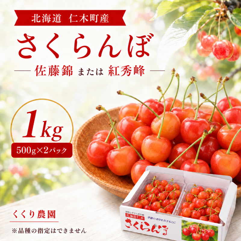 北海道 仁木町産 さくらんぼ 1kg （500g×2） 佐藤錦または紅秀峰 果樹 サクランボ チェリー フルーツ 果物 果物類 ギフト 仁木町 仁木 [くくり農園]