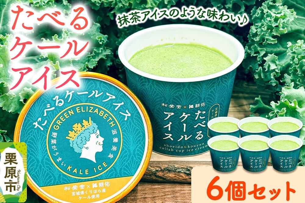 
                  アイスクリーム たべるケールアイス 90ml 6個 入り [ケール 抹茶アイス サラダケール 栗駒山 伏流水 水耕栽培 美味 おいしい 宮城県 栗原市 くりはらファーマーズラボ ケールアイス]
                