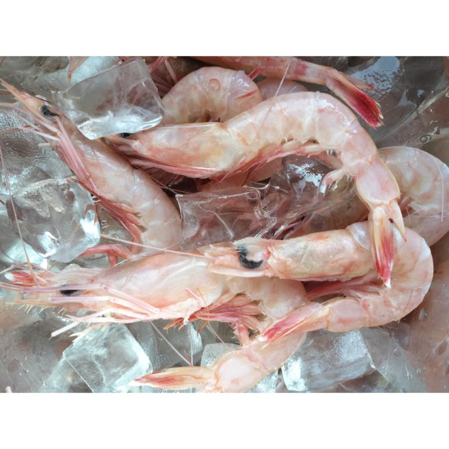 ＜星野水産＞国産天然・無添加「むき海老」（ひげ長海老）200g×5（計1kg）【3ヵ月定期便】・H089