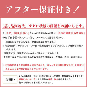 いちご 紅ほっぺ ２パック （ 2025年 1月 以降 発送予定 )  期間限定 人気 果物 フルーツ 新鮮 旬 冬 春 ケーキ ショートケーキ デザート ギフト 贈り物 贈答 イチゴ 苺 ストロベリ