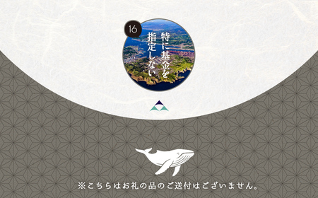 【返礼品なし】北海道室蘭市・応援寄附2,000円（寄附のみの応援受付 ※返礼品はございません） MROBR002