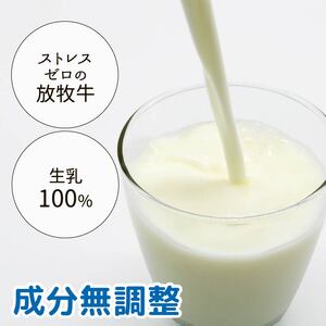 【6か月定期便】山地酪農牛乳1L×8本 バターができる ミルク 低温殺菌 生乳100％ 成分無調整 牛乳 高知県 南国市
