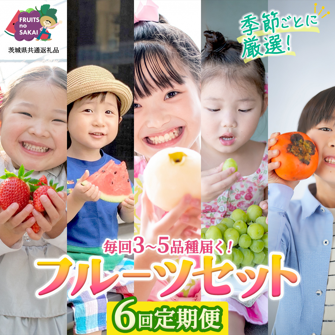 【定期便】フルーツセット（6回定期）（茨城県共通返礼品） 茨城県 県産 つくばみらい市 人気 厳選 果物 くだもの 旬 旬の果物 旬のフルーツ 上級品 極上 贅沢 極み フルーツ フルーツセット ギフ