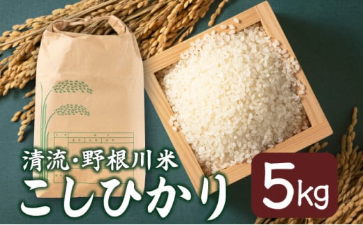 MZ002【8月中旬より発送開始】令和7年産 野根川米5kg こしひかり 米 新米 国産 コメ