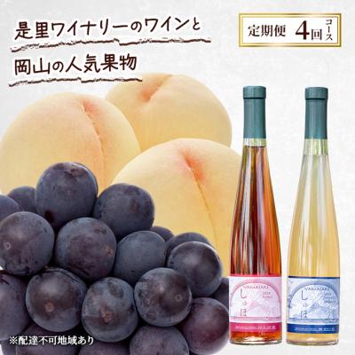 ふるさと納税 赤磐市 定期便 2026年 先行予約 是里ワイナリーのワインと果物 4回コース [NO5765-1347]