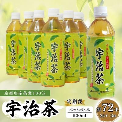 ふるさと納税 京都府 【毎月定期便】【お茶 ペットボトル】京都産 宇治茶 ペットボトル 500ml×24本全3回
