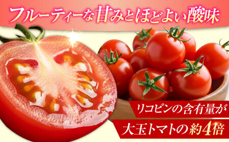 「食の安全」を守りたい！自然を活用した低農薬栽培！江田島ロマーノ トマト 2kg 料理 人気 美容 健康 ギフト 広島県産 江田島市/有限会社グリーンファーム沖美[XAB005]