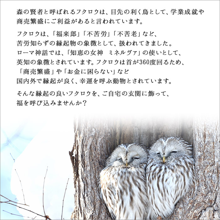 531.木製名入れ 手作り 表札 ふくろう （月） 北海道 弟子屈町_イメージ3