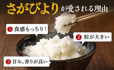 〈受付一時停止中〉【10kg×12回定期便】【令和5年産】さがびより 計120kg（5kg×2袋）吉野ヶ里町/増田米穀 白米 ブランド米 弁当 佐賀県産 令和5年産 新米 ご飯 ごはん 米 お米 弁当