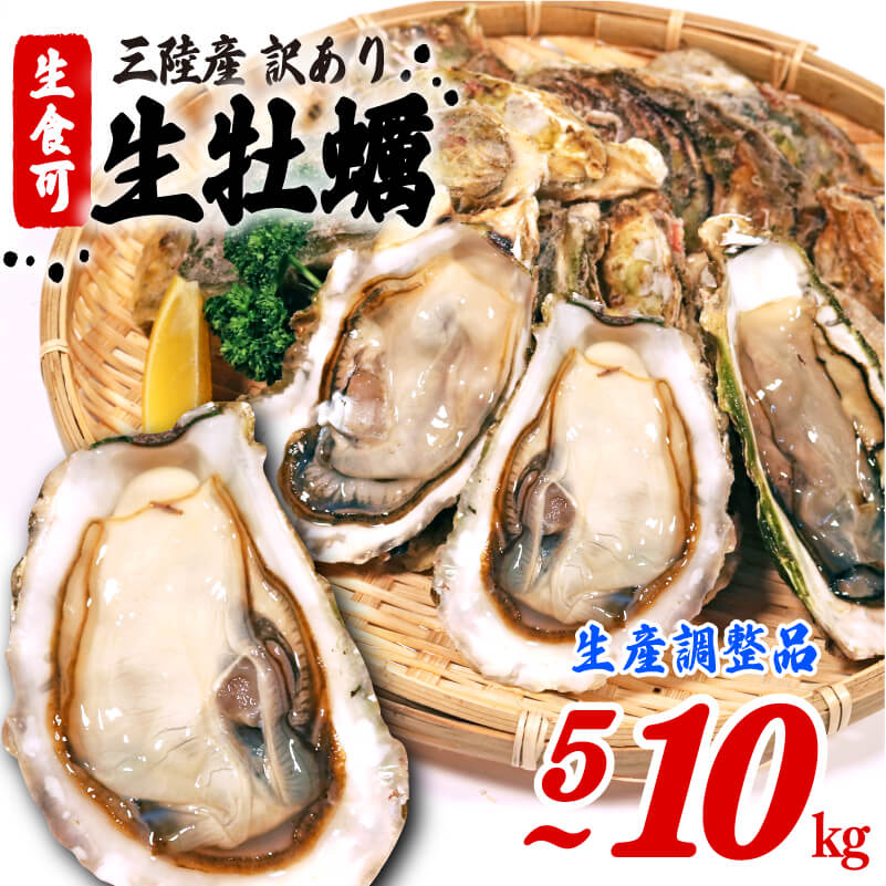 【ふるさと納税】 [身入り少の訳あり品] 生食 殻付き 牡蠣 5kg/10kg かき カキ 冷凍 生産調整品 岩手県産 殻付き 生食 生食用 訳あり わけあり 大きさ不揃い 不揃い 三陸 三陸産 カンカン焼き BBQ バーベキュー 貝 海 海のミルク 株式会社國洋 岩手県 大船渡市