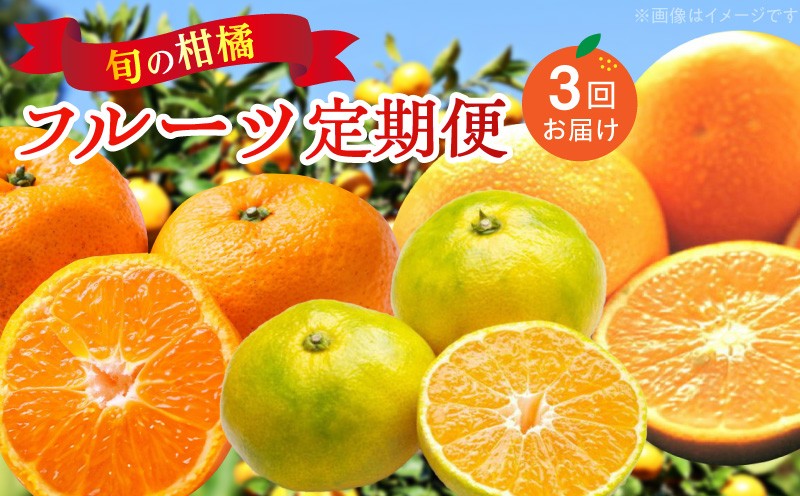 
                  旬の柑橘フルーツ定期便【全3回】_ZD60-T01
                
