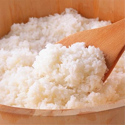 ふるさと納税 中能登町 【令和7年産】中能登町産「能登米コシヒカリ」20kg(5kg×4袋)精米済みでお届け