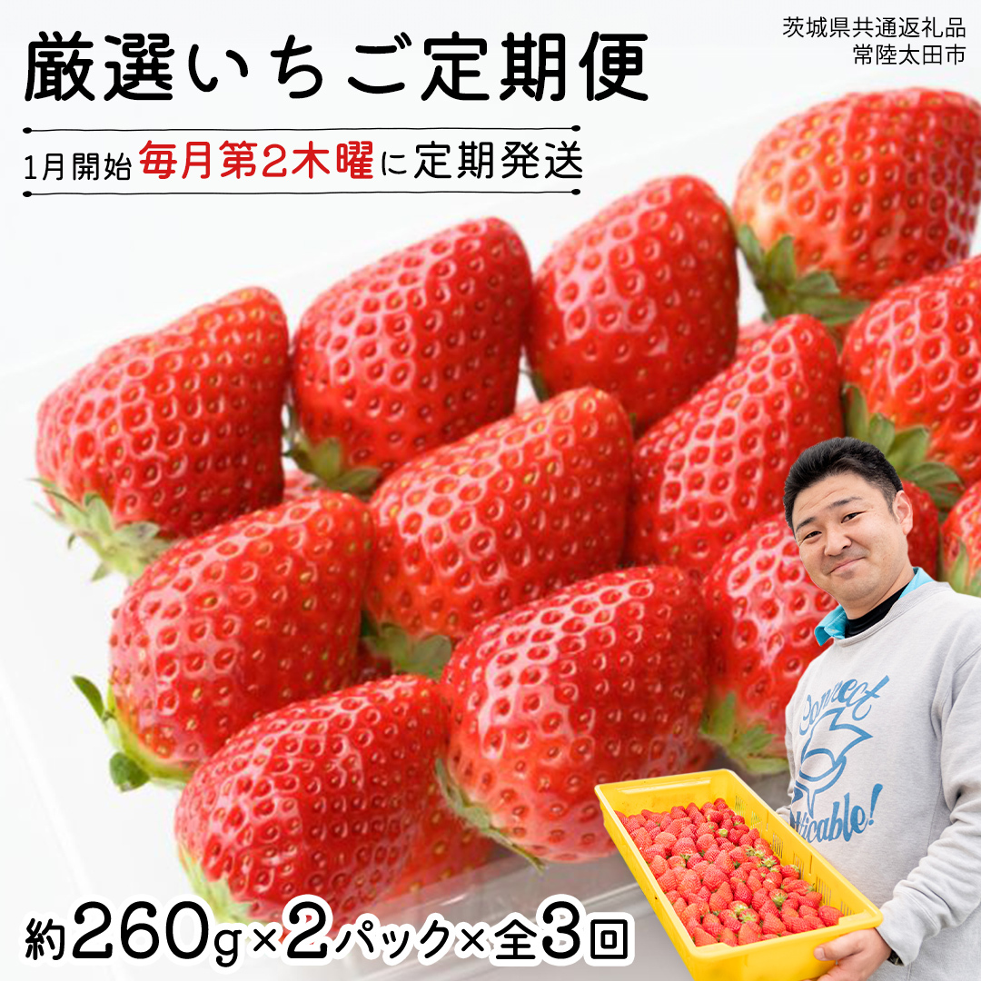 【 先行予約 】 【 定期コース 】 厳選 いちご 2パック 【 毎月 第2木曜に全3回発送 初回発送 2027年1月15日 】 ( 常陸太田市 共通返礼品 ) 約260g×2パック いばらキッス ひたち姫 やよいひめ から 厳選して お届け 定期便 いちご 数量限定 果物 くだもの フルーツ 苺 イチゴ 数量限定