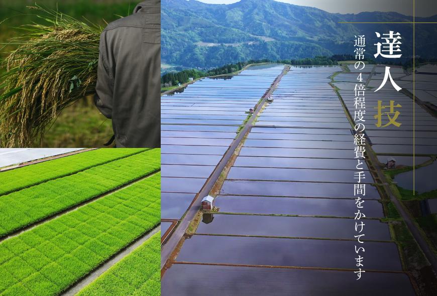 【2025年産 】【ギフト用】最高級魚沼産コシヒカリ「雪椿」2kg×2袋 化粧箱入り 特別栽培米