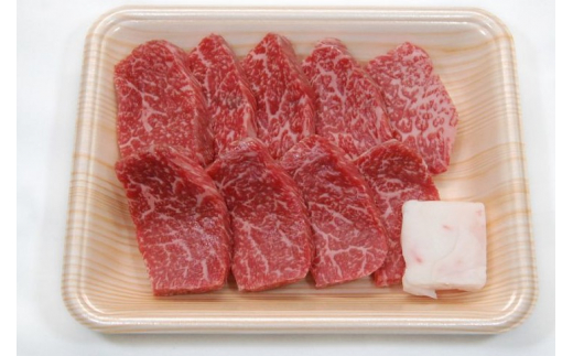 ＜8月から寄附額改定＞飛騨市産 5等級飛騨牛 ミニステーキ用 300g ギフト 贈答用