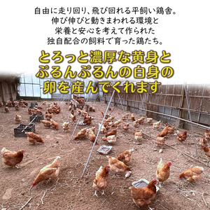 平飼い卵 6個入 12パック 新鮮たまご 産卵後2日以内に発送 養鶏場直送 新鮮 生卵 卵かけご飯 平飼い 赤玉 濃厚 鶏卵 栄養 甘み