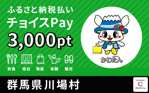 
川場村チョイスPay 3,000pt（1pt＝1円）【会員限定のお礼の品】
