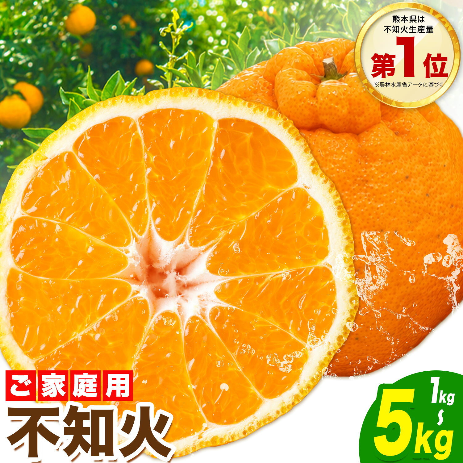 【ふるさと納税】デコポン と同品種！ 不知火 熊本県産 (津奈木町産含む) 訳あり 選べる容量 1kg 2kg 5kg 柑橘《2月上旬-4月上旬頃出荷》 みかん フルーツ 不知火 訳あり 訳アリ ご家庭用 でこみかん みかん 果物