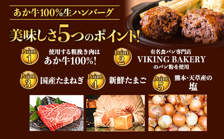 ステーキマニア監修 熊本県産 あか牛 100% 生ハンバーグ 140g× 39個 3セット 《2026年1月中旬-3月末頃出荷》熊本県産あか牛 冷凍 ハンバーグ---ng_faknha3_bc13_r