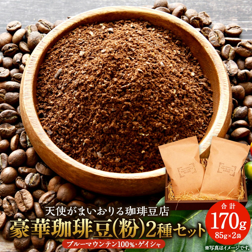 【ふるさと納税】豪華珈琲豆 2種 セット 粉に挽いて ブルーマウンテン ゲイシャ 2袋 コーヒー 珈琲 コーヒー豆 豆 粉 珈琲豆 焙煎 福岡県 苅田町 送料無料