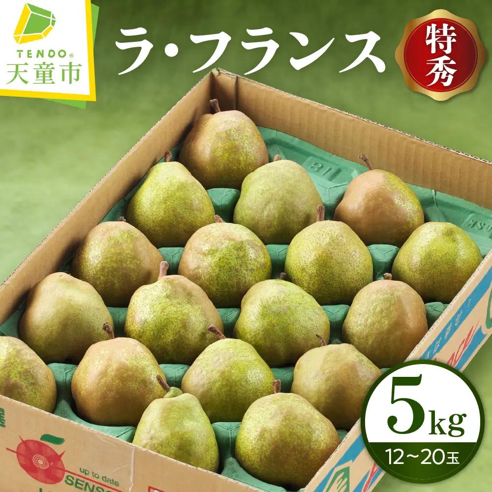 ラ・フランス 5kg 果物 洋梨 山形 ラフランス