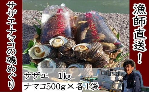 
                  【サザエ・ナマコ】修福丸ん サザエ・なまこセット | さざえ ナマコ 新鮮さざえ 新鮮ナマコ 産直さざえ 産直なまこ 豊後高田市
                