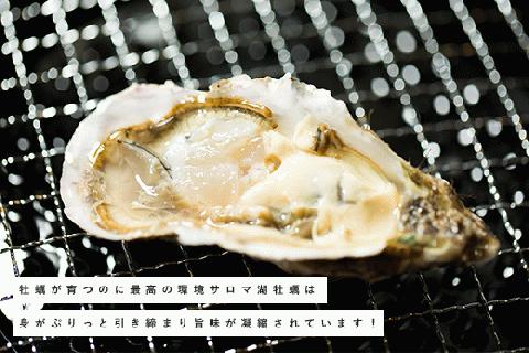 ≪先行予約2024年11月配送開始≫【国内消費拡大求む】 北海道 サロマ湖産 冷凍 殻付き牡蠣 13kg  (2年物) 加熱用