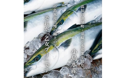 乙女 ブリ 700 ~ 900g ブランド 鰤 ブリ ぶり 乙女ブリ しゃぶ 切り身 フィーレ カマ付き 高知県 須崎市 高知 鰤 年末 正月 ギフト 贈り物 KS0311-3x